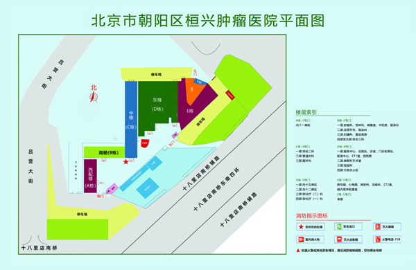 啊操骚屄北京市朝阳区桓兴肿瘤医院平面图